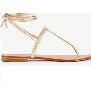 Ann Taylor Minna Thong Lace up Flat Sandals